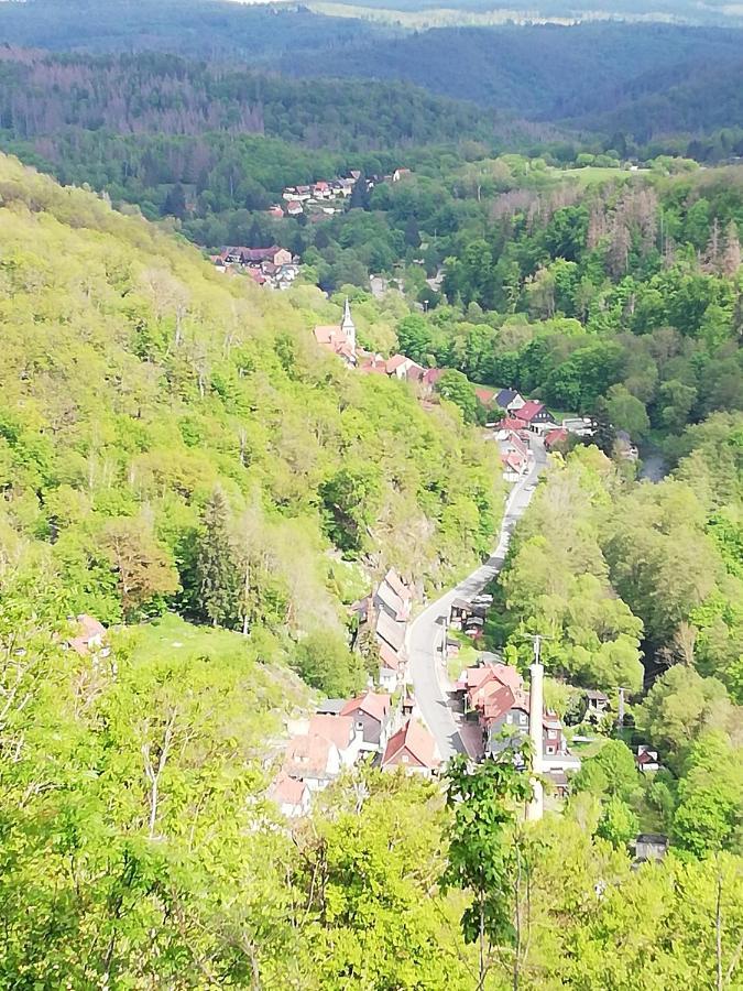 Alte Forsterei Appartement Altenbrak Buitenkant foto