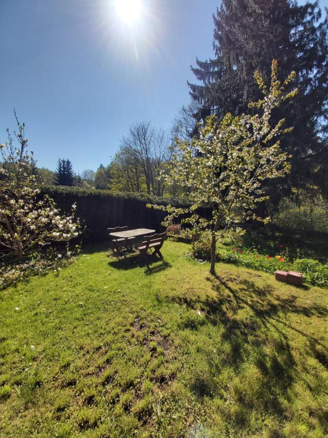 Alte Forsterei Appartement Altenbrak Buitenkant foto